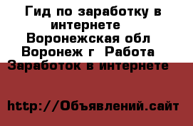 Гид по заработку в интернете. - Воронежская обл., Воронеж г. Работа » Заработок в интернете   